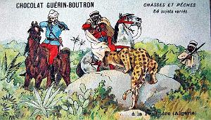 ALGERIE - LA PANTHERE (2)